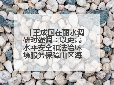 王成国在丽水调研时强调：以更高水平安全和法治环境服务保障山区海岛县高质量发展