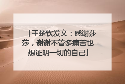 王楚钦发文：感谢莎莎，谢谢不管多痛苦也想证明一切的自己