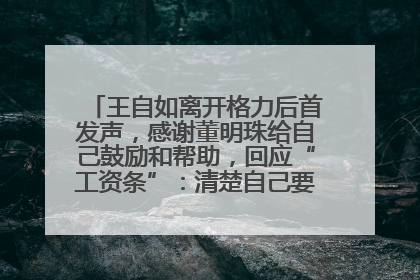 王自如离开格力后首发声，感谢董明珠给自己鼓励和帮助，回应“工资条”：清楚自己要什么，工资条不重要