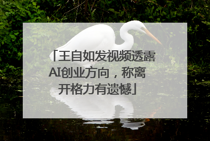 王自如发视频透露AI创业方向，称离开格力有遗憾