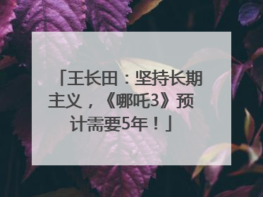 王长田：坚持长期主义，《哪吒3》预计需要5年！