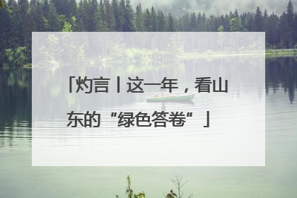 灼言丨这一年，看山东的“绿色答卷”