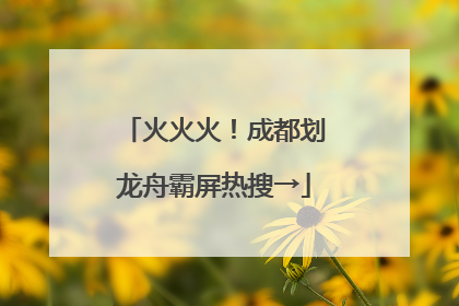 火火火！成都划龙舟霸屏热搜→