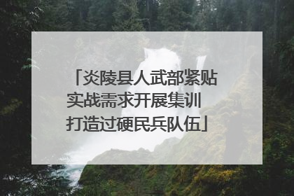 炎陵县人武部紧贴实战需求开展集训 打造过硬民兵队伍