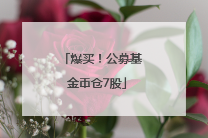 爆买！公募基金重仓7股