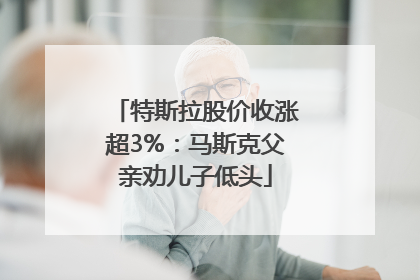 特斯拉股价收涨超3%：马斯克父亲劝儿子低头