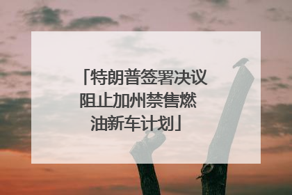 特朗普签署决议 阻止加州禁售燃油新车计划
