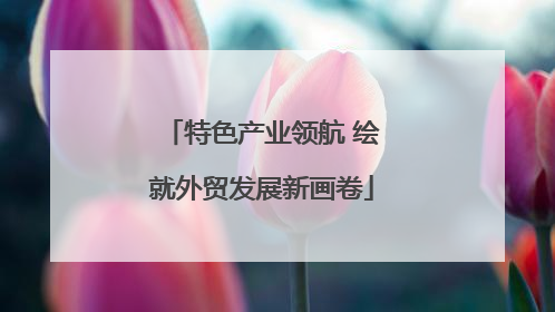 特色产业领航 绘就外贸发展新画卷