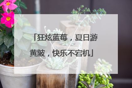 狂炫蓝莓，夏日游黄陂，快乐不宕机