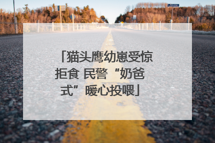 猫头鹰幼崽受惊拒食 民警“奶爸式”暖心投喂