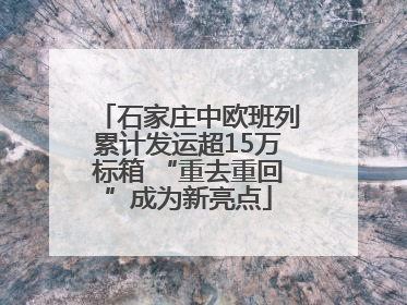 石家庄中欧班列累计发运超15万标箱 “重去重回”成为新亮点