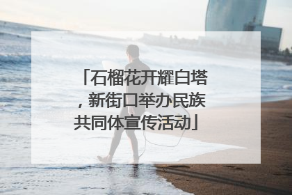 石榴花开耀白塔，新街口举办民族共同体宣传活动