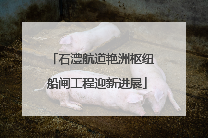 石澧航道艳洲枢纽船闸工程迎新进展