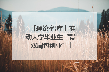 理论·智库丨推动大学毕业生“背双肩包创业”