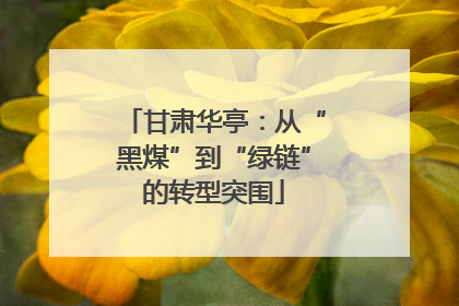 甘肃华亭：从“黑煤”到“绿链”的转型突围