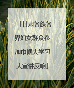 甘肃各族各界妇女群众参加巾帼大学习大宣讲反响
