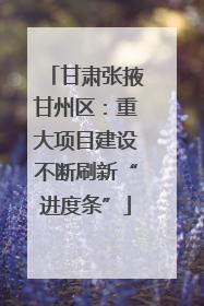 甘肃张掖甘州区：重大项目建设不断刷新“进度条”