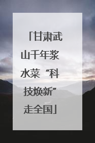 甘肃武山千年浆水菜“科技焕新”走全国