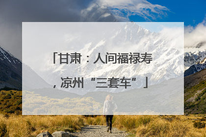 甘肃：人间福禄寿，凉州“三套车”