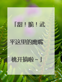 甜！脆！武平这里的鹰嘴桃开摘啦～