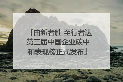 由新者胜 至行者达 第三届中国企业碳中和表现榜正式发布