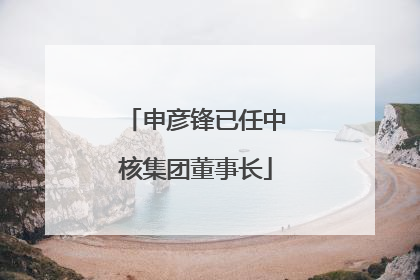 申彦锋已任中核集团董事长