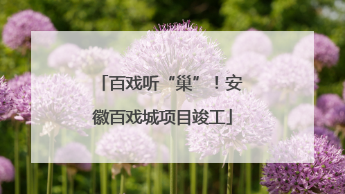 百戏听“巢”！安徽百戏城项目竣工