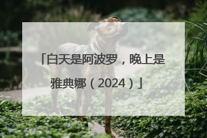 白天是阿波罗，晚上是雅典娜（2024）