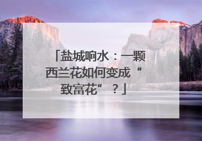 盐城响水：一颗西兰花如何变成“致富花”？