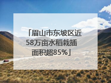 眉山市东坡区近58万亩水稻栽插面积超85%