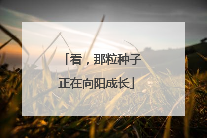 看，那粒种子正在向阳成长