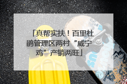 真帮实扶！百里杜鹃管理区两村“威宁鸡”产销两旺