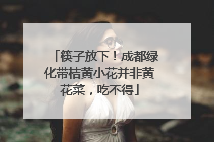 筷子放下！成都绿化带桔黄小花并非黄花菜，吃不得