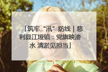 筑牢“汛”防线｜慈利县江垭镇：党旗映溇水 清淤见担当
