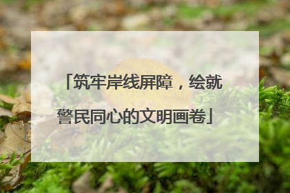 筑牢岸线屏障，绘就警民同心的文明画卷