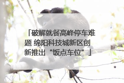 破解就餐高峰停车难题 绵阳科技城新区创新推出“饭点车位”