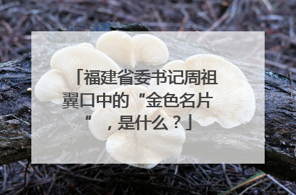 福建省委书记周祖翼口中的“金色名片”，是什么？