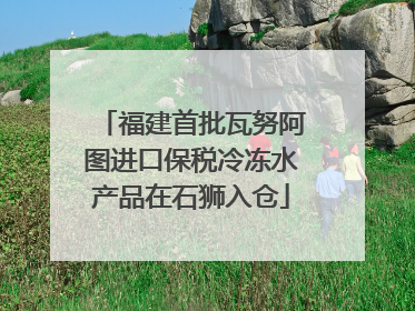 福建首批瓦努阿图进口保税冷冻水产品在石狮入仓