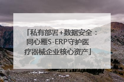 私有部署+数据安全：同心雁S-ERP守护医疗器械企业核心资产