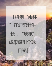 科创“雨林”在沪茁壮生长，“硬核”成果吸引全球目光