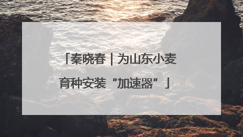 秦晓春｜为山东小麦育种安装“加速器”