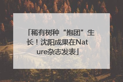 稀有树种“抱团”生长！沈阳成果在Nature杂志发表