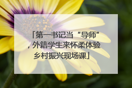 第一书记当“导师”，外籍学生来怀柔体验乡村振兴现场课