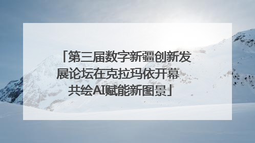 第三届数字新疆创新发展论坛在克拉玛依开幕 共绘AI赋能新图景
