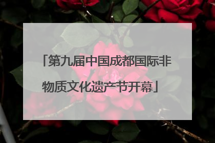 第九届中国成都国际非物质文化遗产节开幕