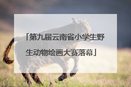 第九届云南省小学生野生动物绘画大赛落幕
