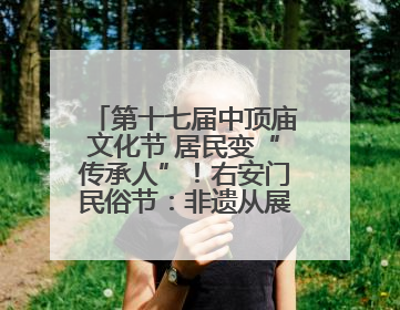 第十七届中顶庙文化节 居民变“传承人”！右安门民俗节：非遗从展柜走进烟火气