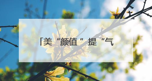 美“颜值 ”提“气质 ”济阳城管开展市容环境集中整治行动