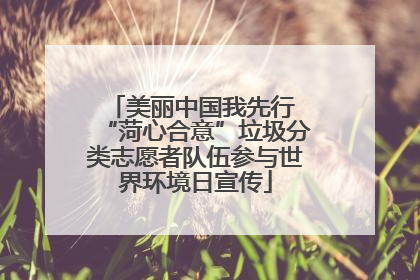 美丽中国我先行 “菏心合意”垃圾分类志愿者队伍参与世界环境日宣传