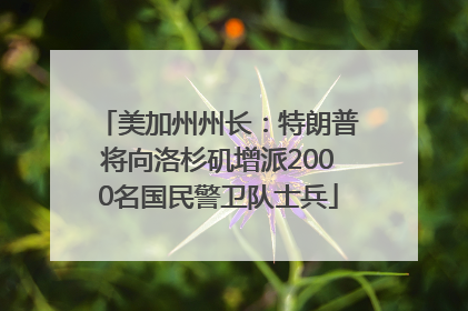 美加州州长：特朗普将向洛杉矶增派2000名国民警卫队士兵